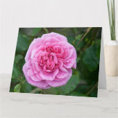 Roze Rose Kaart (Voorkant)