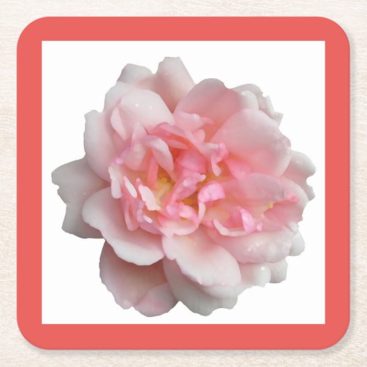 Roze Rose Kartonnen Onderzetters (Voorkant)