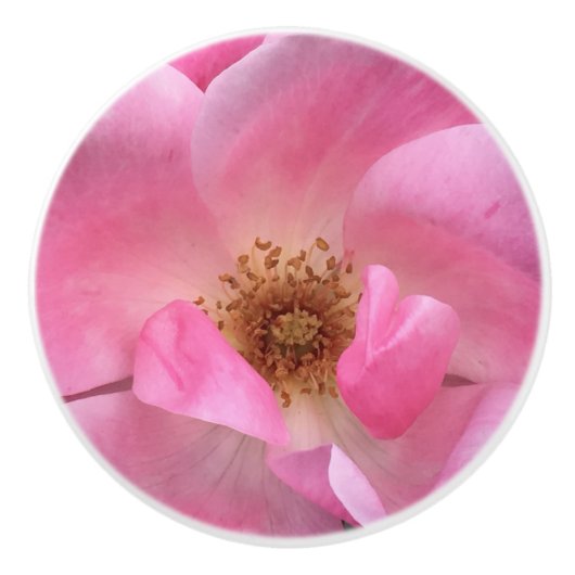 Roze Rose Keramische Knop (Voorkant)