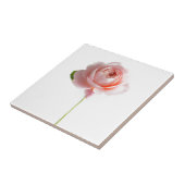 Roze Rose keramische tegel Tegeltje (Zijkant)
