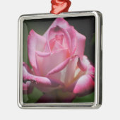 Roze Rose Kordes Perfecta Ornament (Links)