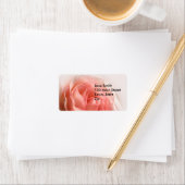 Roze Rose Labels (Insitu)