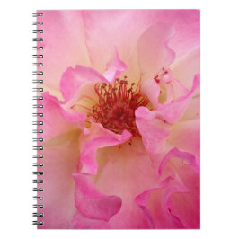 Roze Rose-laptop Notitieboek