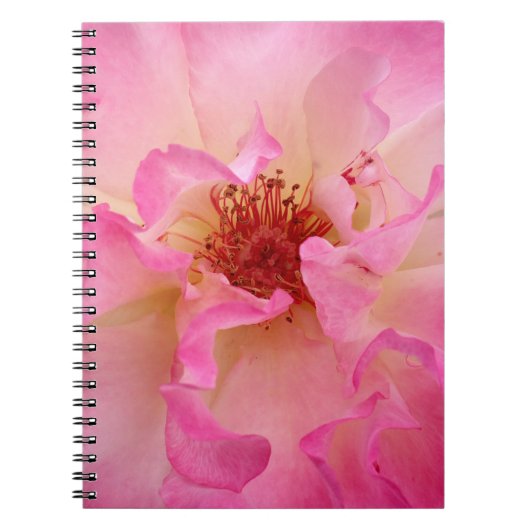 Roze Rose-laptop Notitieboek (Voorkant)