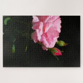 Roze Rose Legpuzzel (Horizontaal)