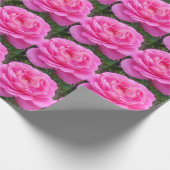Roze Rose "Leonardo Da Vinci" Cadeaupapier (Hoek)