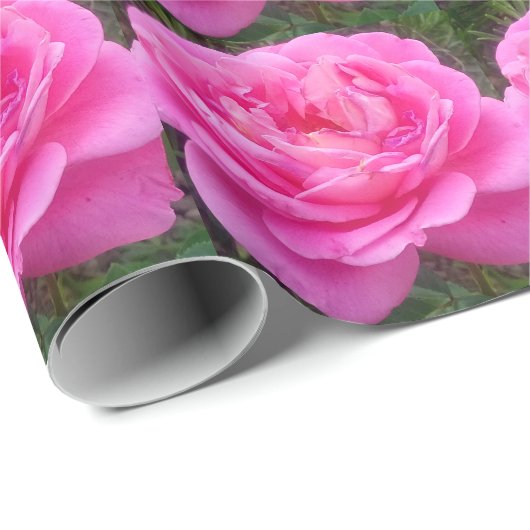 Roze Rose "Leonardo Da Vinci" Cadeaupapier (Rol Hoek)