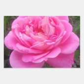 Roze Rose "Leonardo Da Vinci" Inpakpapier Vel (Voorkant)