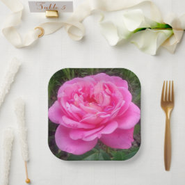 Roze Rose "Leonardo Da Vinci" Papieren Bordje