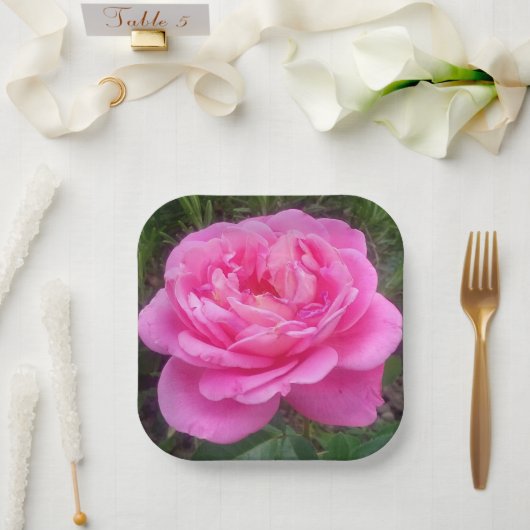 Roze Rose "Leonardo Da Vinci" Papieren Bordje (Huwelijk)