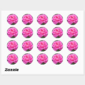 Roze Rose "Leonardo Da Vinci" Ronde Sticker (Vel)