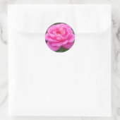 Roze Rose "Leonardo Da Vinci" Ronde Sticker (Tas)