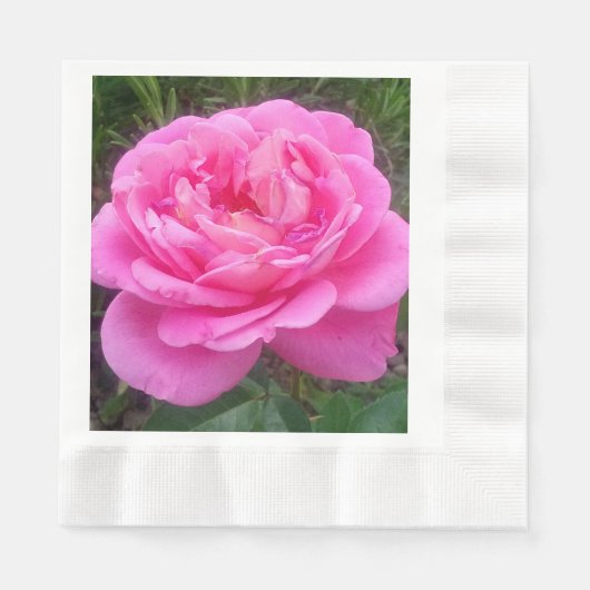 Roze Rose "Leonardo Da Vinci" Servet (Voorkant)