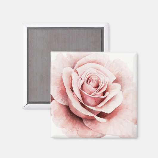 Roze Rose Magneet (Voorkant / Achterkant)