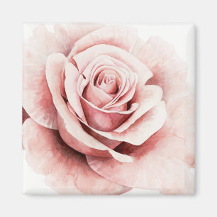 Roze Rose Magneet