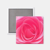 Roze Rose Magneet (Voorkant / Achterkant)