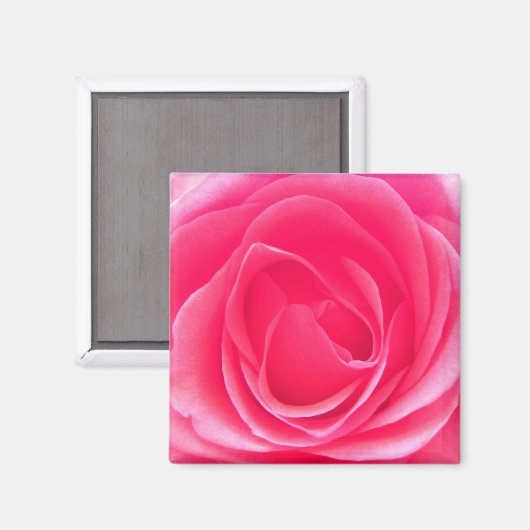 Roze Rose Magneet (Voorkant / Achterkant)