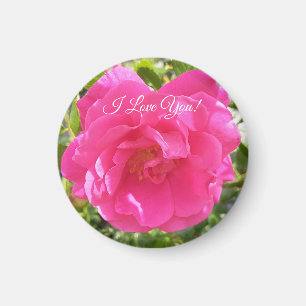 Roze Rose Magneet