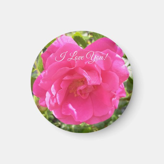 Roze Rose Magneet (Voorkant)