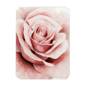 Roze Rose Magneet (Verticaal)