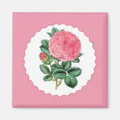 Roze Rose Magneet (Voorkant)