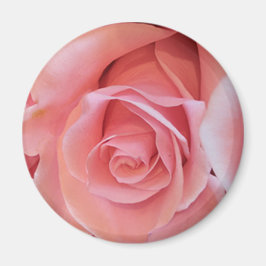 Roze Rose Magneet