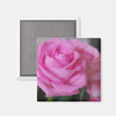 Roze Rose Magneet (Voorkant / Achterkant)