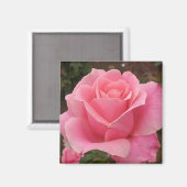 Roze Rose Magneet (Voorkant / Achterkant)