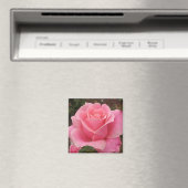 Roze Rose Magneet (Insitu (Vaatwasser))