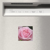 Roze Rose Magnet (Insitu (Vaatwasser))