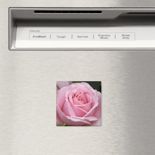 Roze Rose Magnet (Insitu (Vaatwasser))