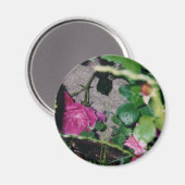 Roze Rose Magnet (Voorkant / Achterkant)