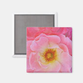 Roze Rose Magnet (Voorkant / Achterkant)