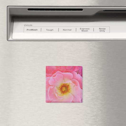 Roze Rose Magnet (Insitu (Vaatwasser))