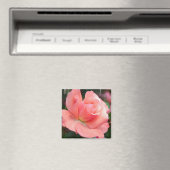 Roze Rose Magnet (Insitu (Vaatwasser))