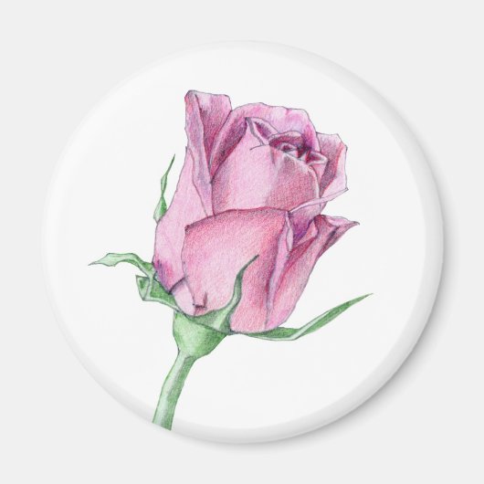 Roze Rose Magnet (Voorkant)