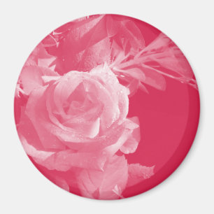 Roze Rose Magnet