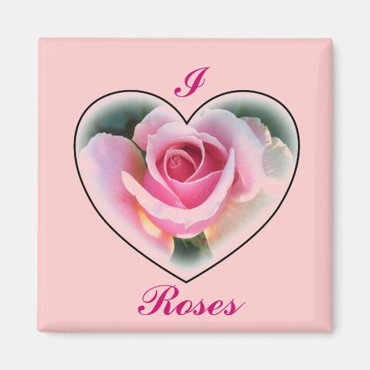 Roze Rose Magnet (Voorkant)