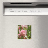 Roze Rose Magnet (Insitu (Vaatwasser))