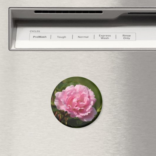 Roze Rose Magnet (Insitu (Vaatwasser))