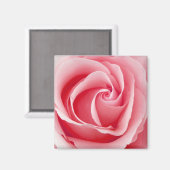 Roze Rose Magnet - Square (Voorkant / Achterkant)
