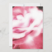 Roze Rose Memorial / Aankondiging (Achterkant)