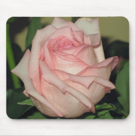 Roze Rose Mousdepad Muismat
