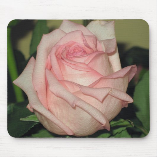 Roze Rose Mousdepad Muismat (Voorkant)