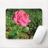 Roze Rose mousepad Muismat (Met muis)