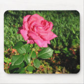 Roze Rose mousepad Muismat (Voorkant)