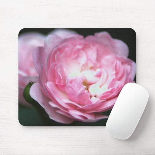 Roze Rose Mousepad! Muismat (Met muis)