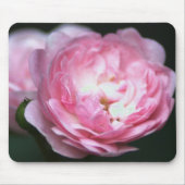Roze Rose Mousepad! Muismat (Voorkant)