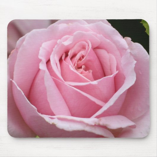 Roze Rose Mousepad Muismat (Voorkant)
