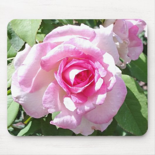 Roze Rose Mousepad Muismat (Voorkant)